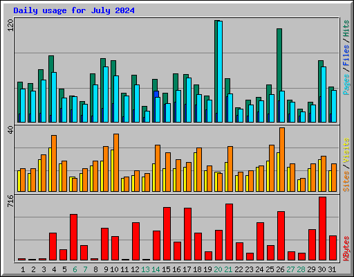 Daily usage for July 2024