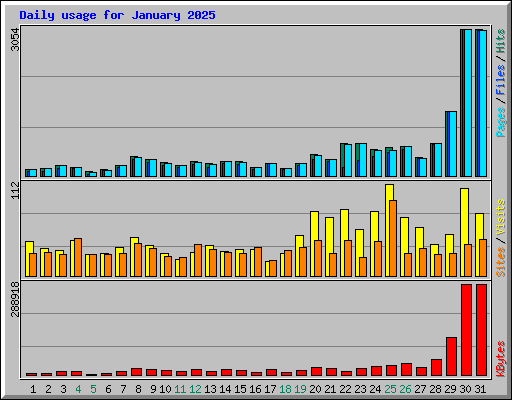 Daily usage for January 2025