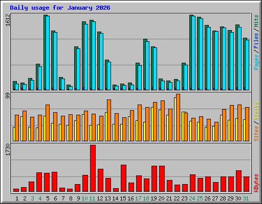 Daily usage for January 2026