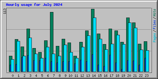 Hourly usage for July 2024