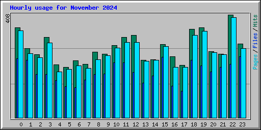 Hourly usage for November 2024