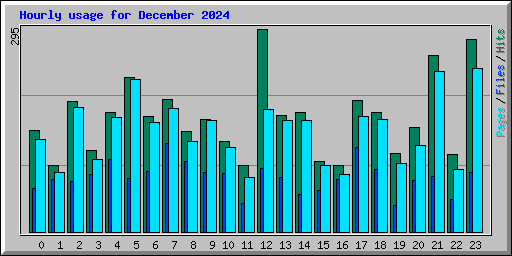 Hourly usage for December 2024