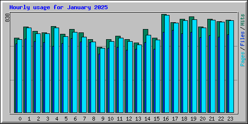 Hourly usage for January 2025