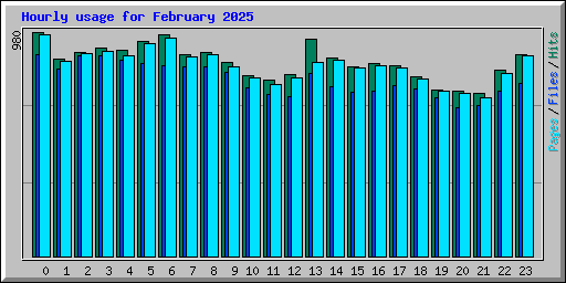 Hourly usage for February 2025