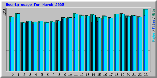 Hourly usage for March 2025