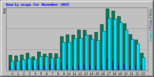 Hourly usage for November 2025