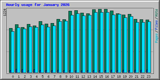 Hourly usage for January 2026